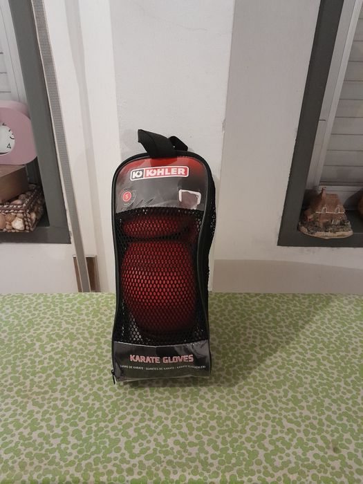Vendo Luvas de Karate muito bonitas como novas