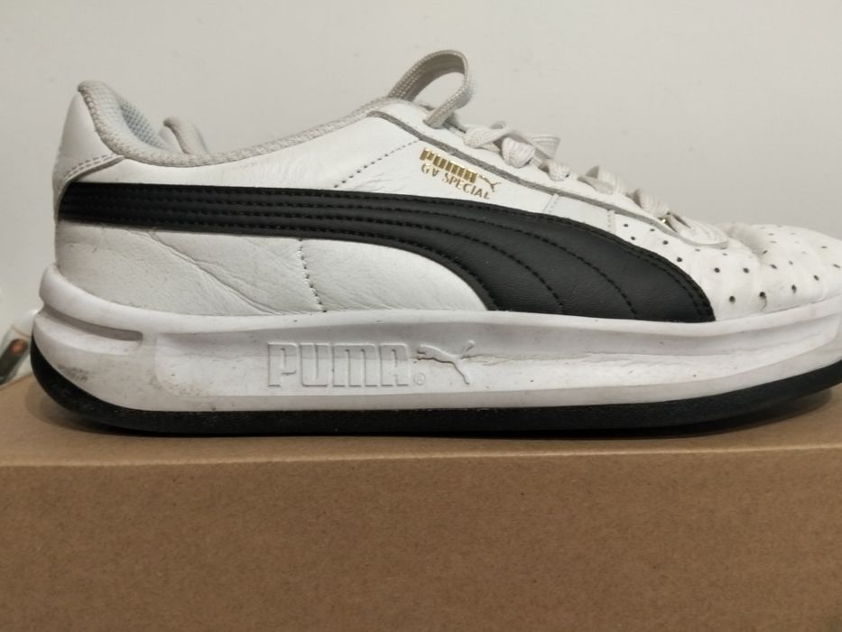 Puma classic, Ecco biom goretex