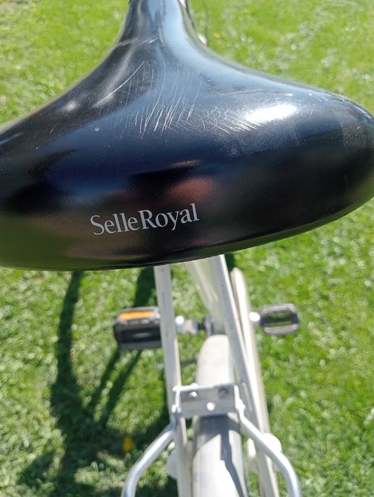 rower holenderski Altra w oryginale