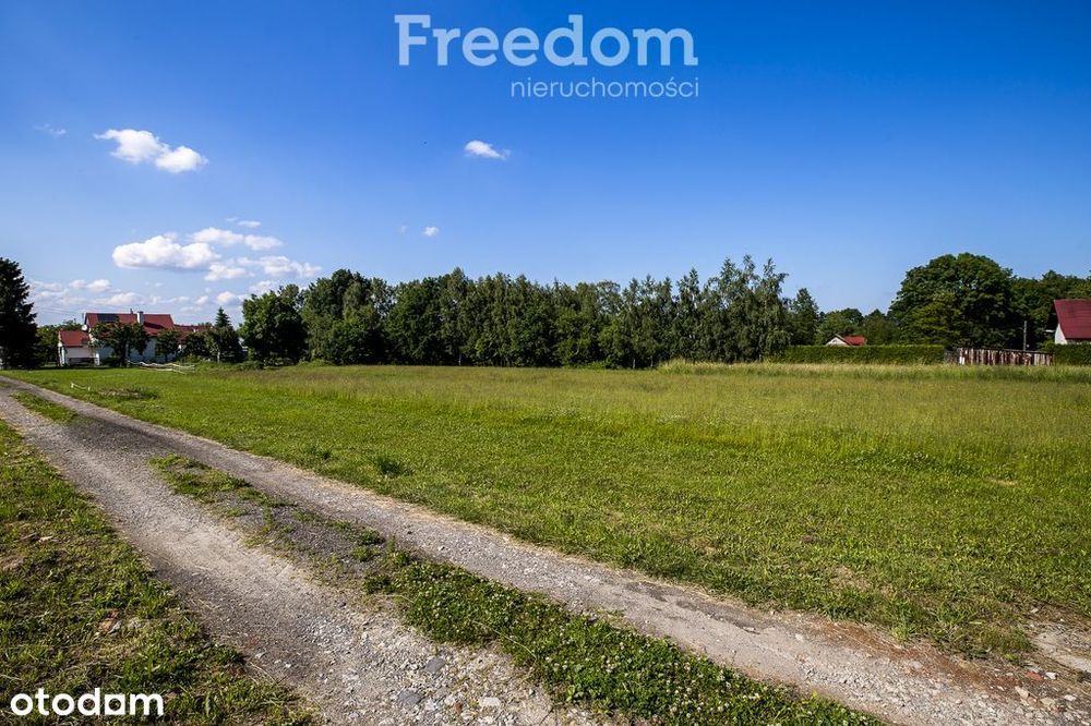Działka 11,49 ar z Wz, mediami ul. Rodziny Kąkolów - Widok 6