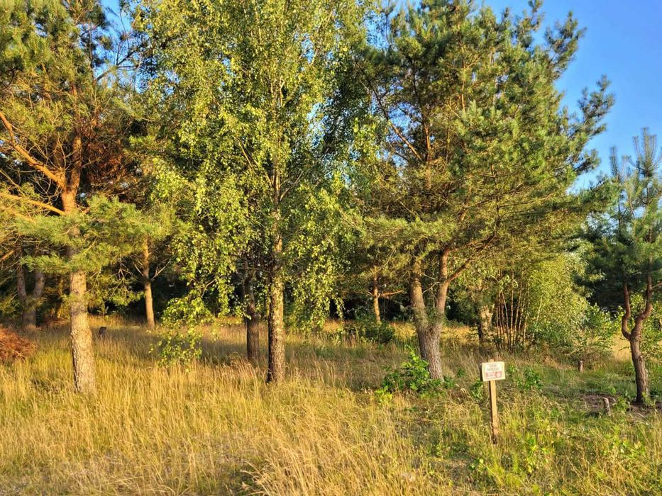 Działka budowlana z widokiem na jezioro  - Strzepcz 1001 m2