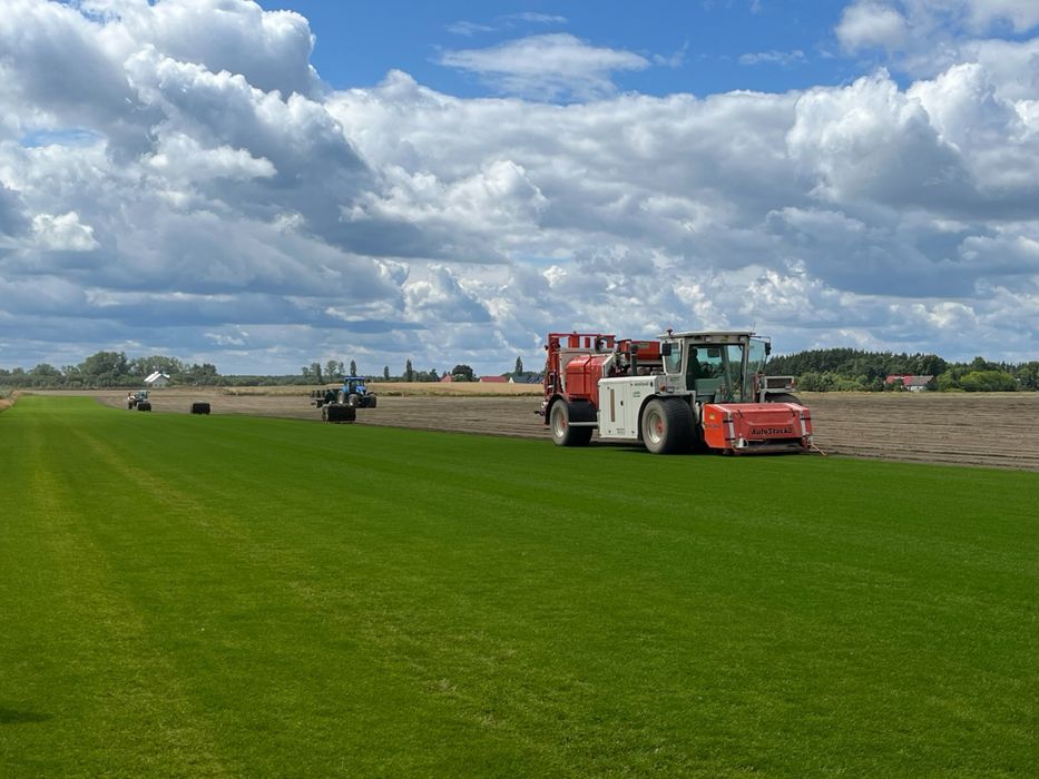 Trawnik w rolce trawa z rolki