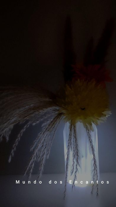 Vaso com iluminação