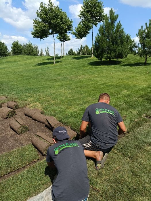 Ландшафтный дизайн 3d рулонный газон автополив газон