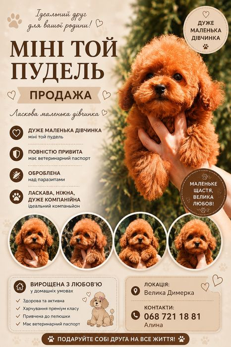 пудель той пудель пудель