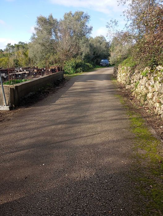 Limpezas terrenos , ruas ,jardins