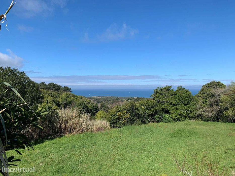 Rustic Land in Colares - Sea View