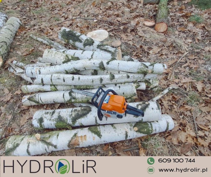 Wycinka drzew i krzewów/ przycinanie koron drzew