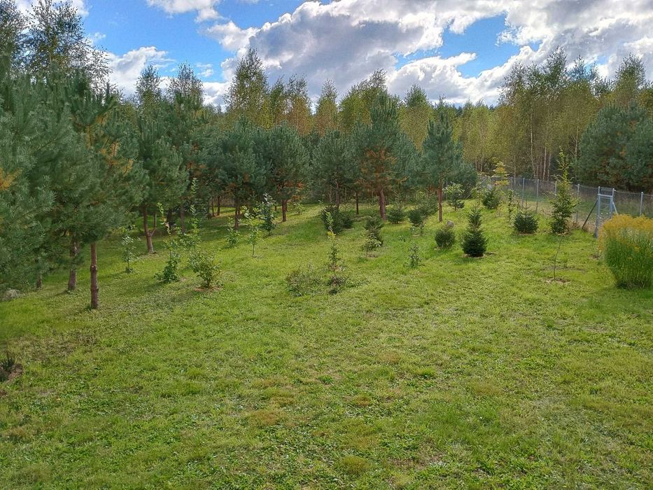 Działka Mazury z domkiem rekreacyjnym koło lasu i jeziora