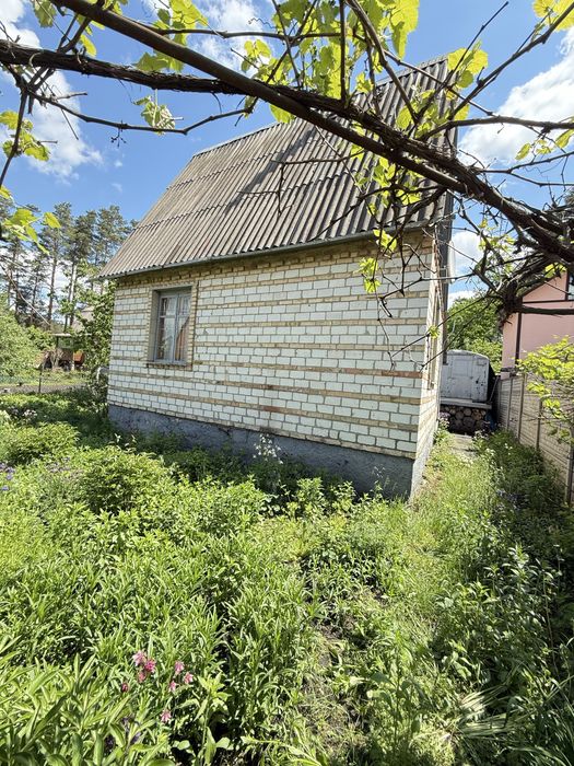 Продам дачу біля лісу