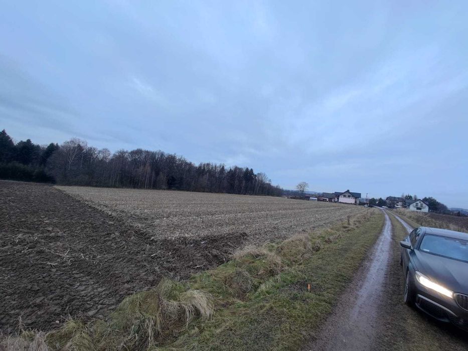 Działka pod lasem podzielona na 3 jednakowe!