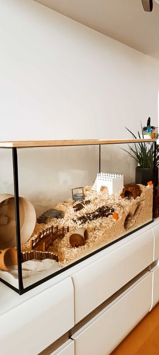 Klatka dla chomika – DUŻE akwarium 80×35×40 cm | naturalne | NOWE