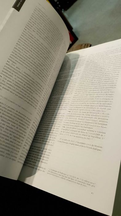SNC Sistema de Normalização Contabilística - Ana Maria Rodrigues