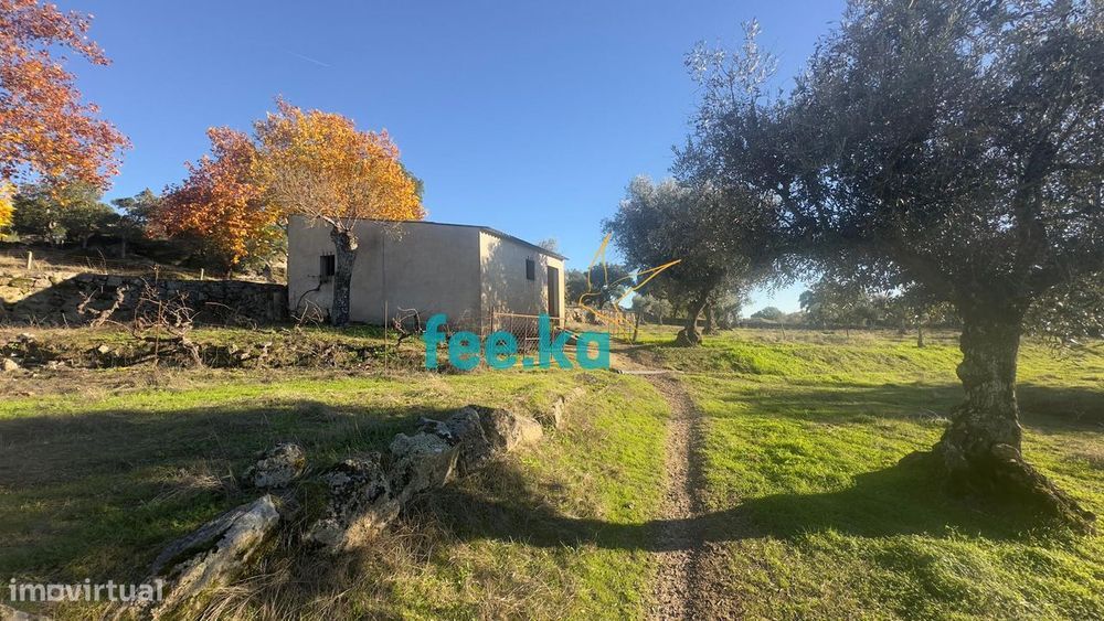 Quinta em Escalos de Baixo — Escalos De Baixo E Mata, Castelo Branco