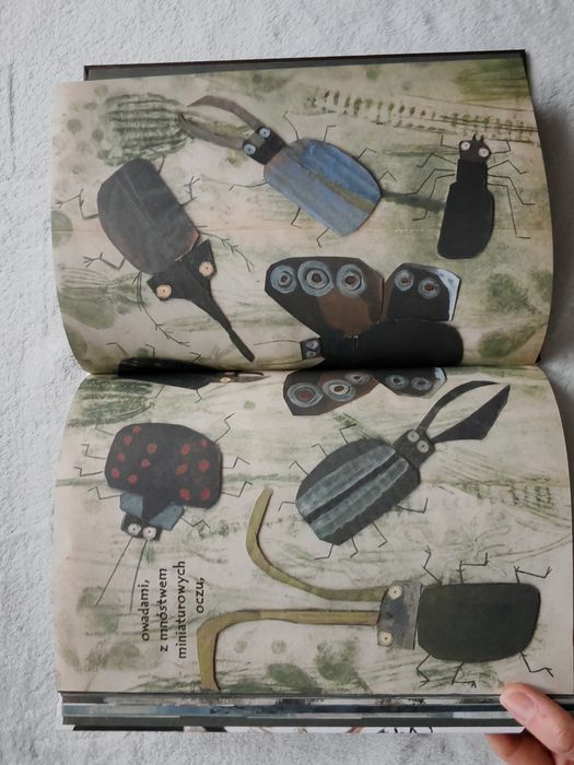 My wszyscy, Manon Gauthier książka dla dzieci