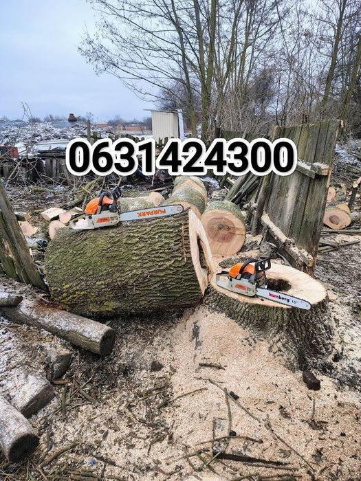 Спил дерев, валка дерев, розпил, обрізання гілок