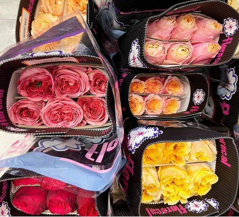 Роза Троянда Квіти від виробника з доставкою по Україні