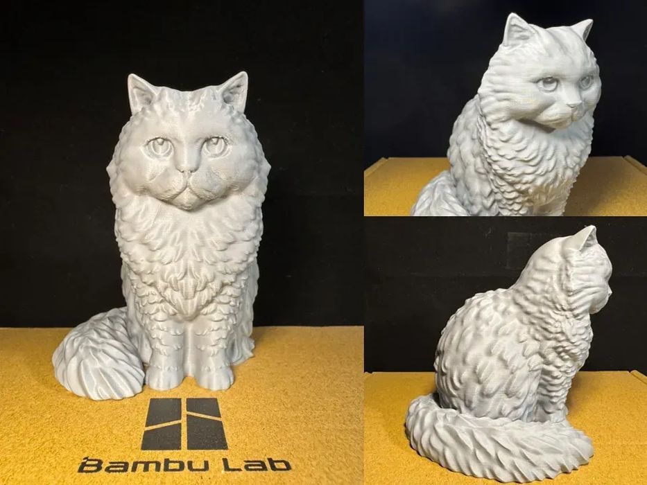Gato Persa de Pelo Comprido (Textura Delicada)