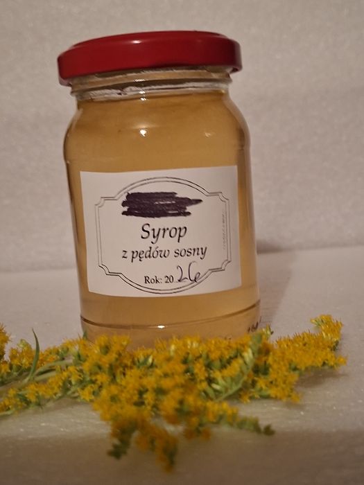 Syrop z pędów sosny.