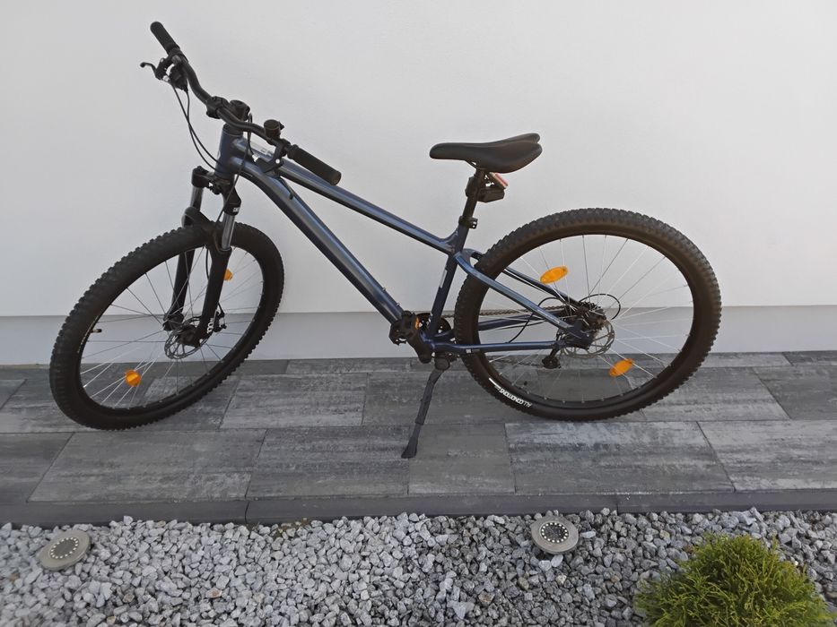 Rower Rockerider 29