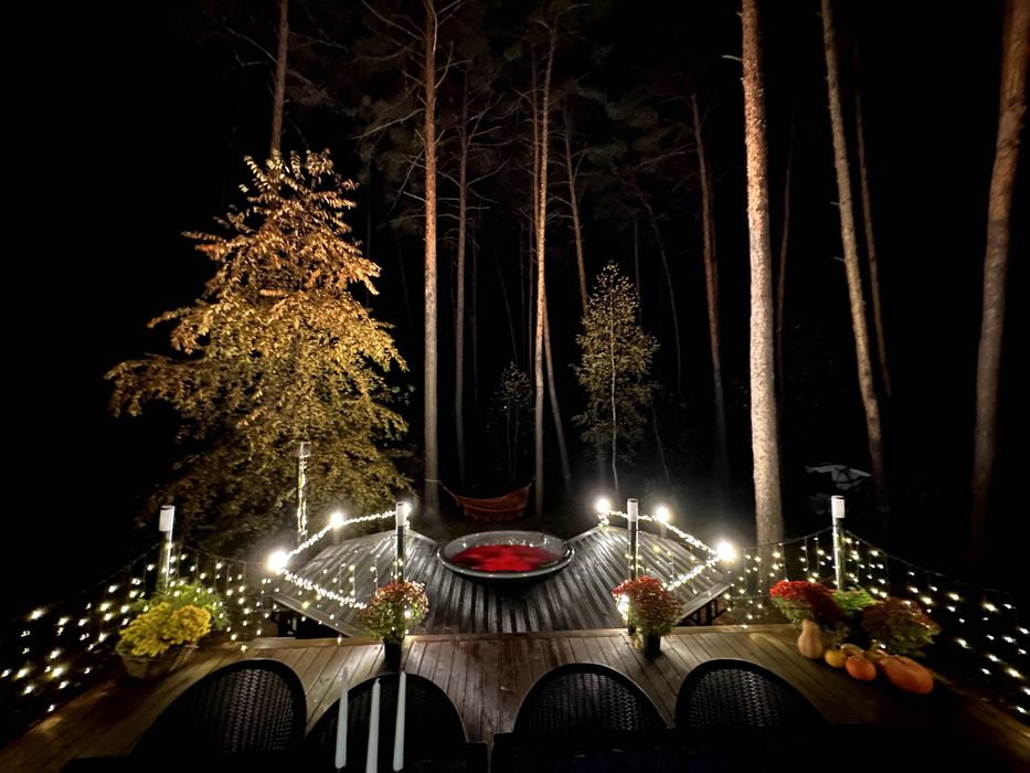 Будинок під Києвом подобово у сосновому лісі