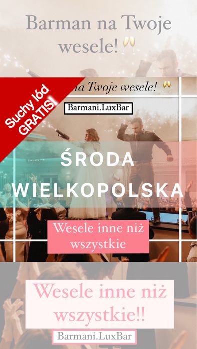 Barman / na wesele / Mobilny bar / Lux Bar/ Mobilne usługi Barmańskie