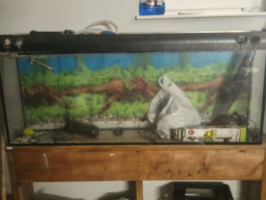 Od dam akwarium 200l