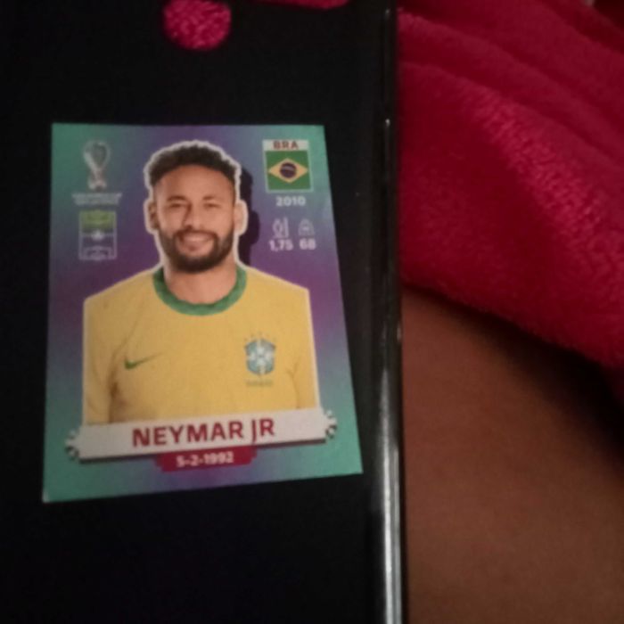 Cadernetas cromos da copa