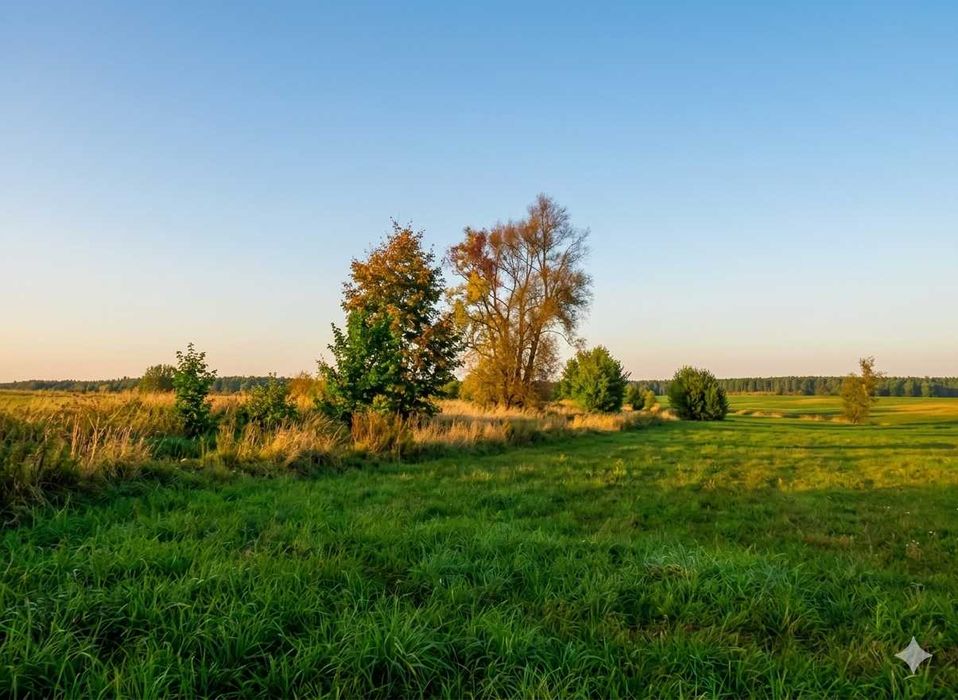 Działka budowlana 700 m² - Widok 4