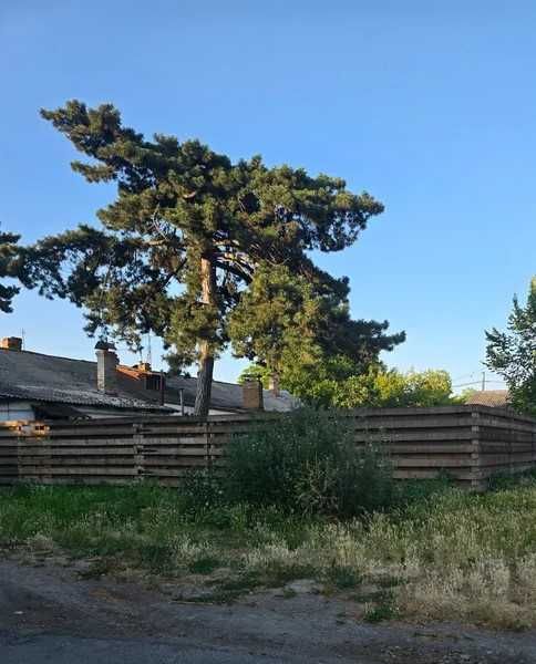 Оренда земельної ділянки.