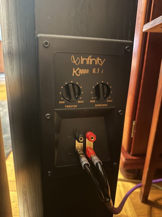 Kolumny Infinity kappa 6.1