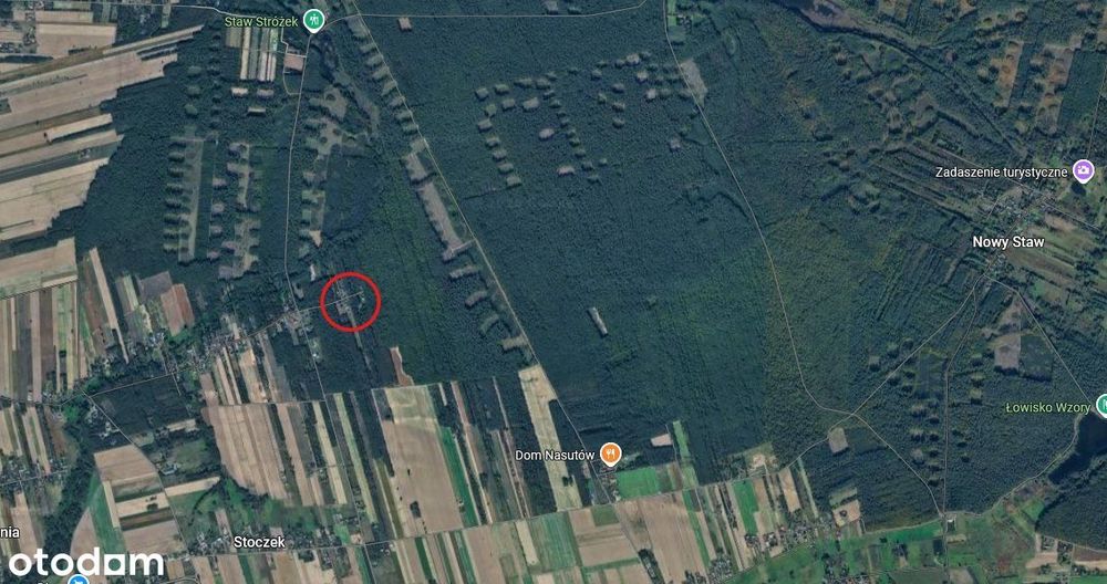 Działka w otulinie lasu - Stoczek