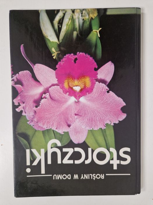 Storczyki - poradnik