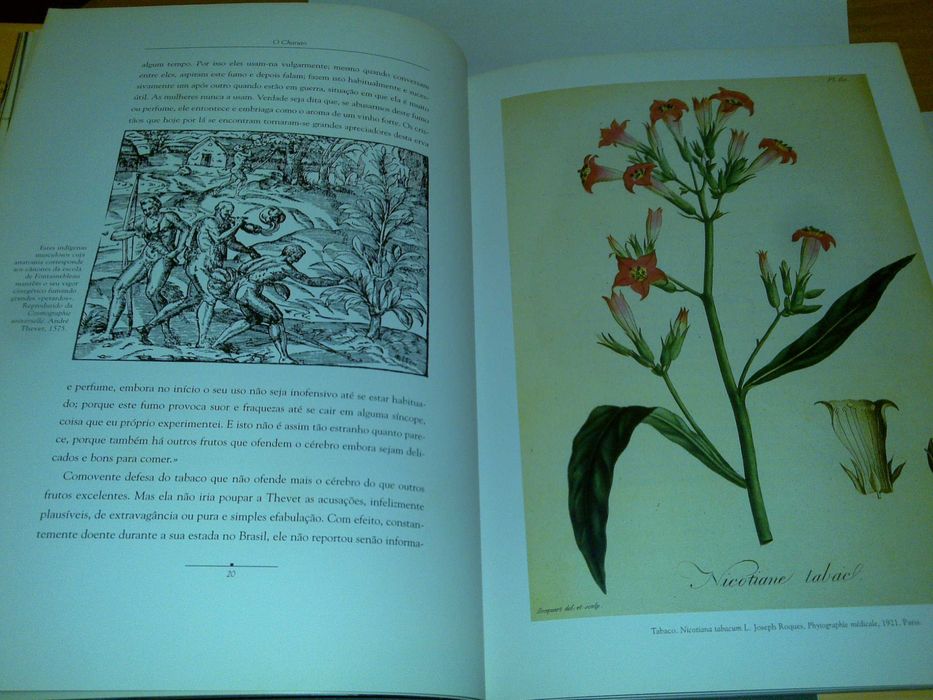 o charuto (eric deschodt e philippe morane) 2000 livro