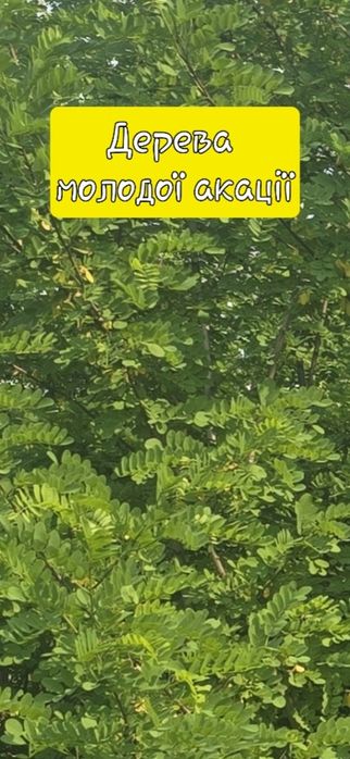 Обмін на Авто з доплатою продавця.