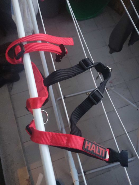 Halti arnês p/ cão