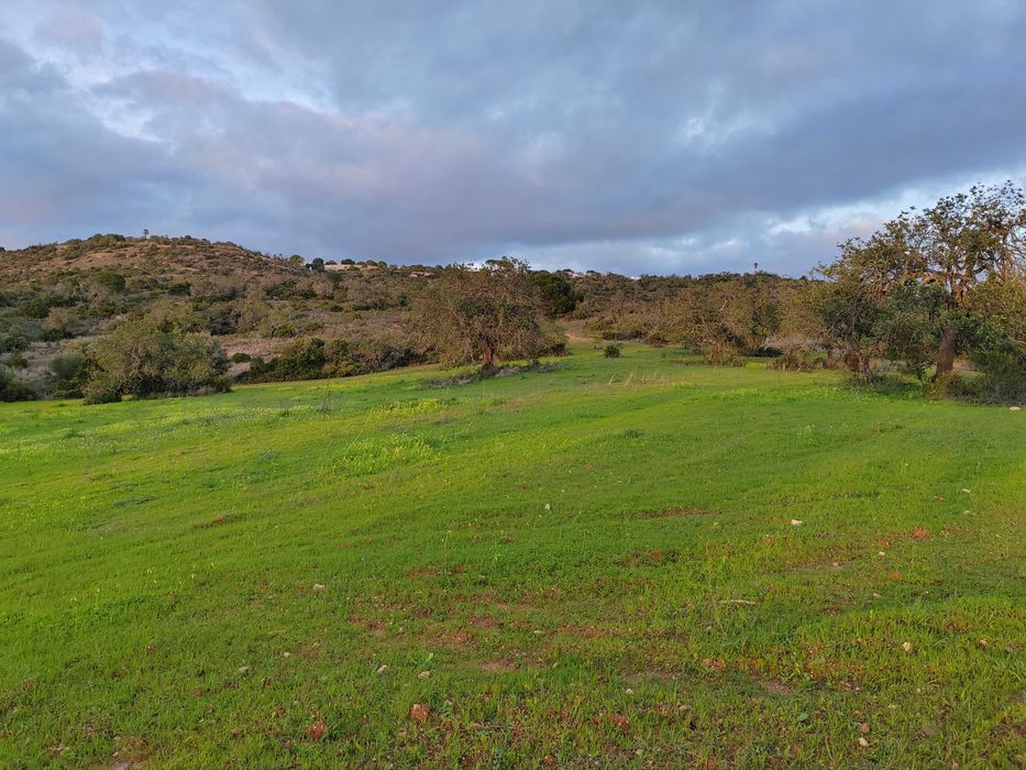 Arrendamento de Terreno