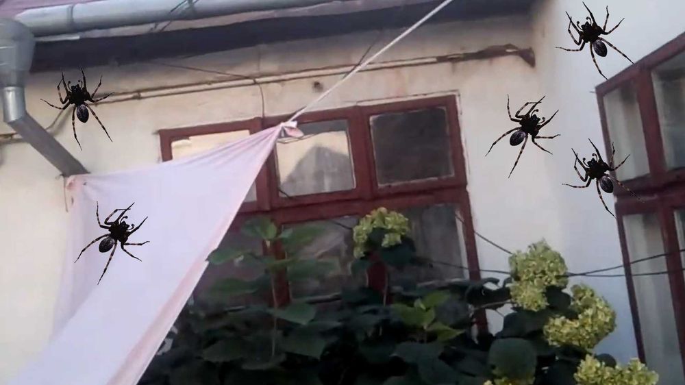 Квест рум "Загадкове вбивство" центр м. Чернівці