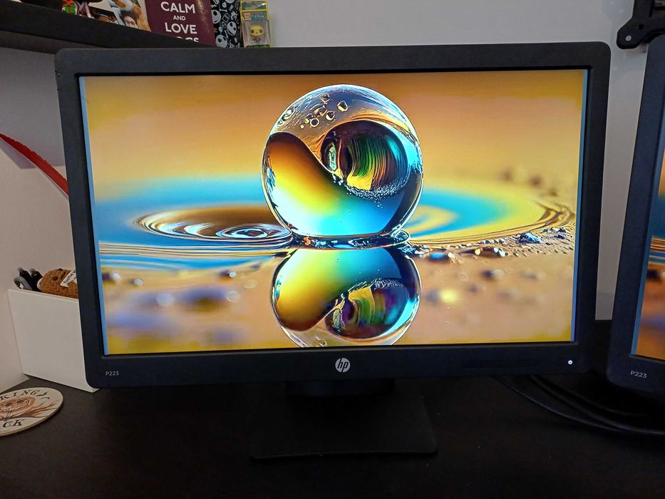 2 HP Computer Monitors P223442910158064209921