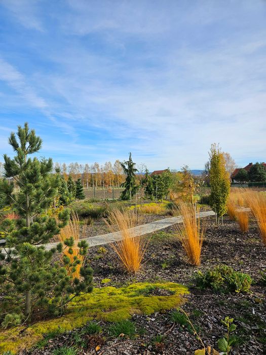 Usługi ogrodnicze | Zakładanie i pielęgnacja ogrodów