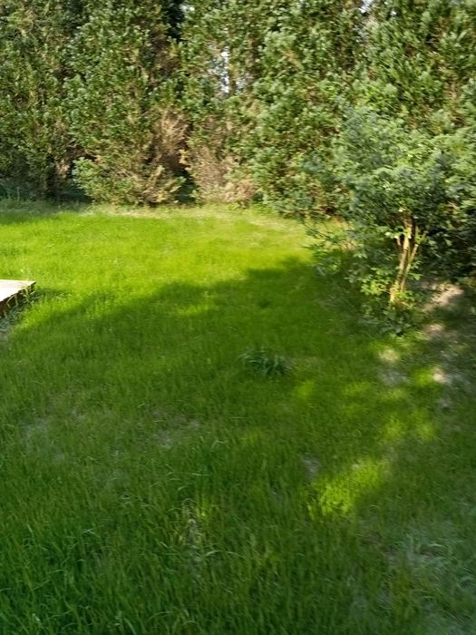 Działka ROD Zagaje