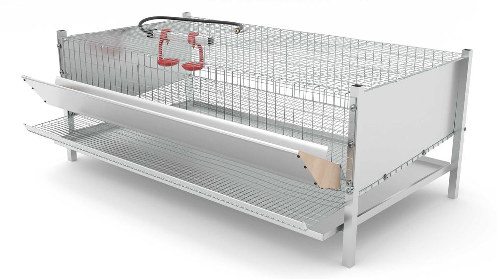 klatka dla przepiórek