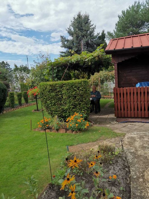 Działka ROD Skowronek Kajetany - 300 m² - Widok 2