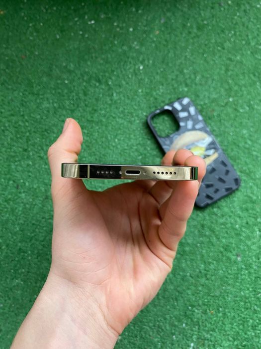 iPhone 14 Pro Max 256 GB 79%