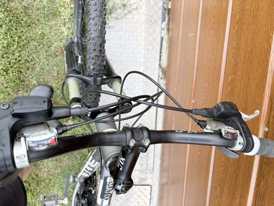 Rower Bulls 26”