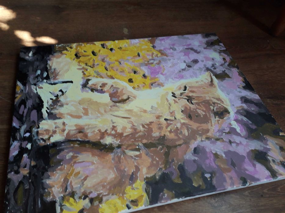 Obraz na płótnie Kotek