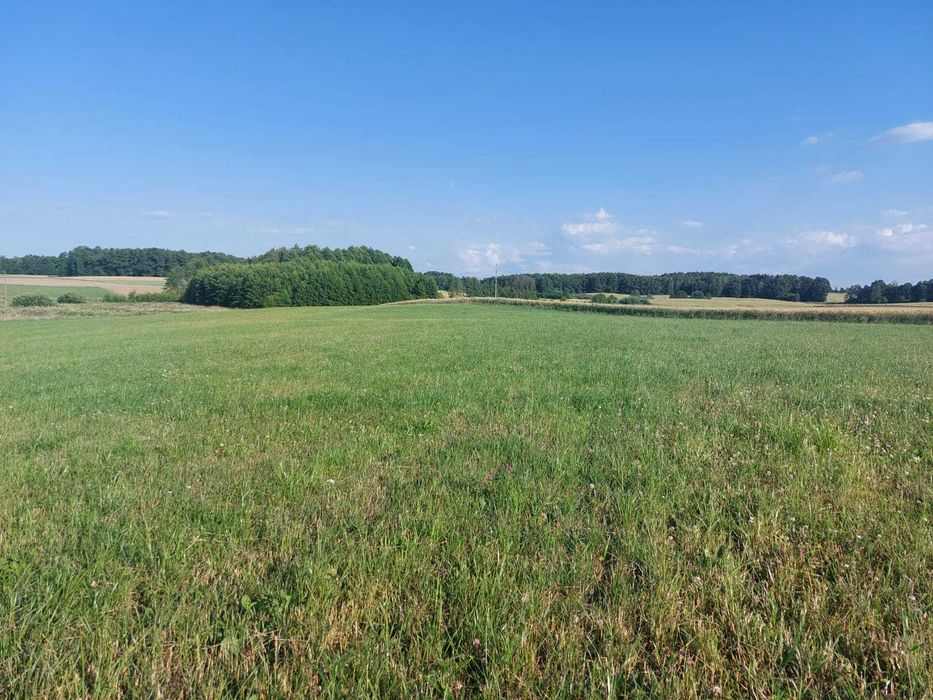 Działka_Jezioro_Dauby_Jeziorak - Więcej