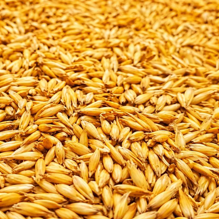 Sprzedam owies tanio