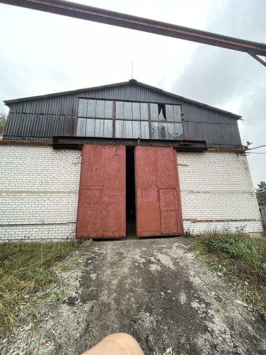 Продаж приміщення с.Мліїв