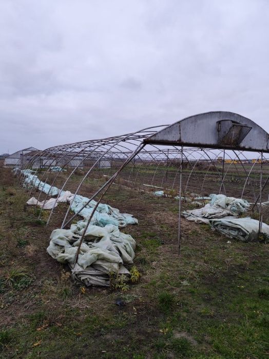 Tunel foliowy szkielet  6x30 transport